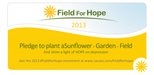 Field For Hope 2013