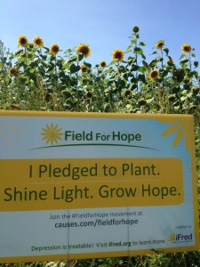 Field for Hope - Sign in field