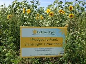 Field for Hope sign in Field